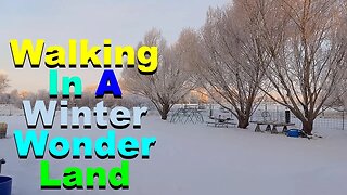 No. 859 – Winter Wonder Land