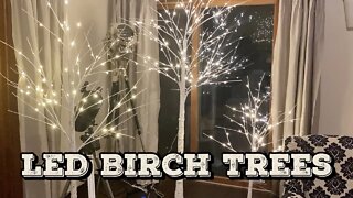 Pre-Lit LED Birch Trees Review