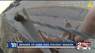 Deputy rescues deer