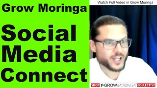 Grow Moringa on Other People's Properties | Find Growers and Harvest Their Trees | Urban Food Supply