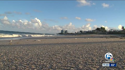 State Department of Health testing whether red tide has made its way to Indian River County