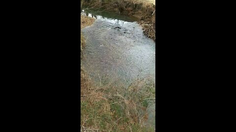 Babbling Brook for Relaxation