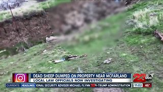 Dead sheep dumped on property near Mcfarland