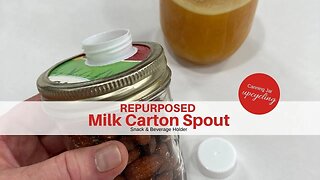 How To Easily Make a Snack and Beverage Holder With a Simple Recycled Milk Carton #shorts