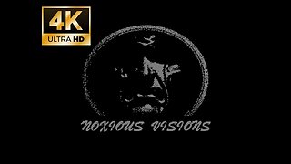 C64 Demo - Noxious Visions [1996] by Coma