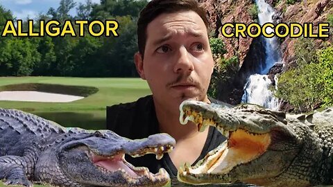 Alligator Attack in Florida, Crocodile Attack in Australia