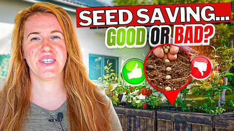 The ONE Mistake Gardeners Make When Saving Seeds!