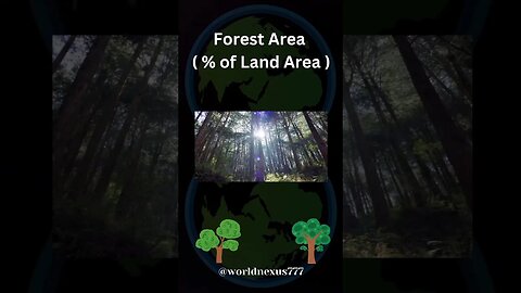 Forest Area | #viral #shorts #youtubeshorts #trending #forest