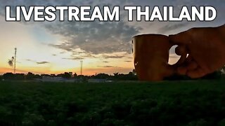 GOOD MORNING THAILAND (LIVESTREAM)
