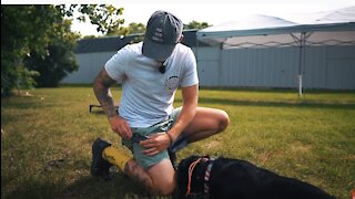 How to Safely Train Dog Completely Off Leash!