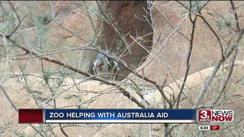 Zoo Helping With Australia Aid