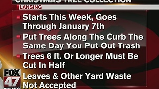 Christmas tree collection in Lansing
