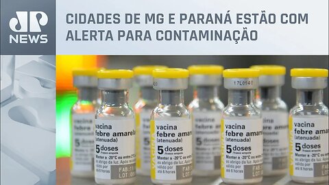 Estado de SP alerta população sobre riscos da febre amarela no Carnaval