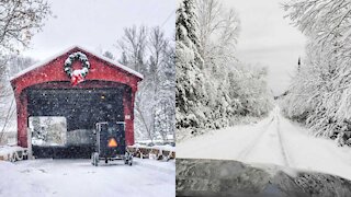 8 Winter Drives In Ontario That Will Bring You Stunning Snowy Views From Your Car