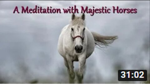 08 - A Meditation with Majestic Horses