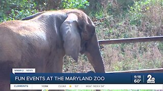 Autumn festivities at The Maryland Zoo