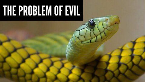 The Problem of Evil: Study 1 - part 2
