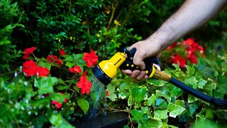 Window Box Flower Ideas for Your Shady Spot