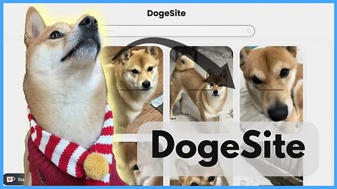 I made a WEBSITE for my DOG!!!