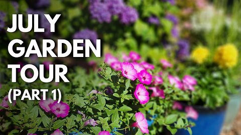 July Garden Tour Part 1: What's Flowering, Hydrangeas, & More