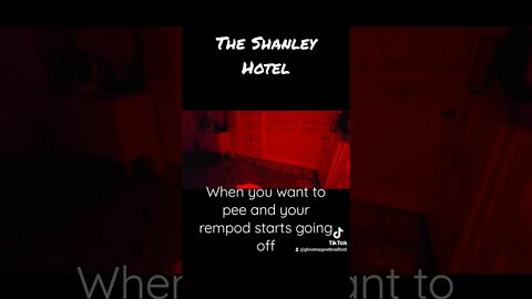 The Shanley Hotel was absolutely amazing 👻 #Paranormal #haunted #hauntedhotel #ShanleyHotel #fyp