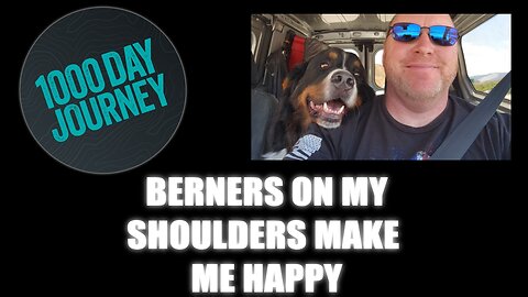 1000 Day Journey 0390 Berners on my Shoulders Make Me Happy