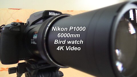 Nikon P1000 with 6000mm Zoom Bird watch 4K Video