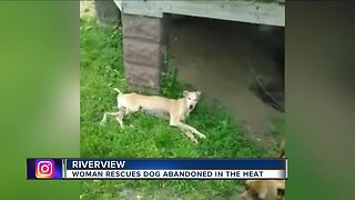Woman rescues dog abandoned in the heat