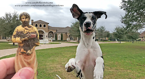Bouncing Great Dane Helps To Bury St Joseph Real Estate Sale Statue