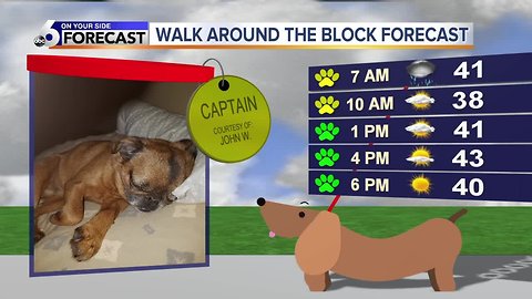 Wx Dog of the Day: Captain