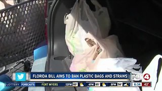 Should plastic bags and straws be banned from Florida businesses and stores?