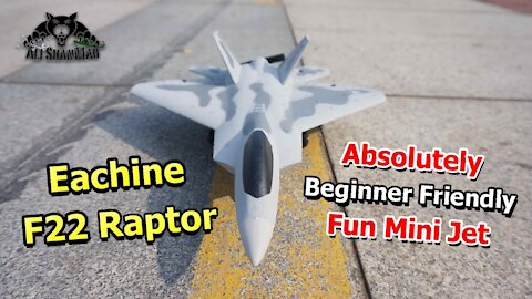 Eachine Mini F22 Raptor RC Jet best beginners Park Flyer RC Airplane