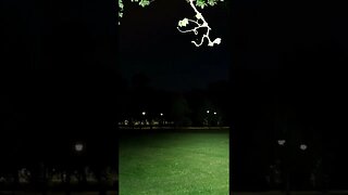 Nextorch E51C - short beam shot test in park #shorts