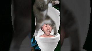 Skibidi Toilet Vs Cats! 🚽😻 #Cats #SkibidiToilet #VS
