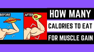 How many calories should i eat to gain muscle