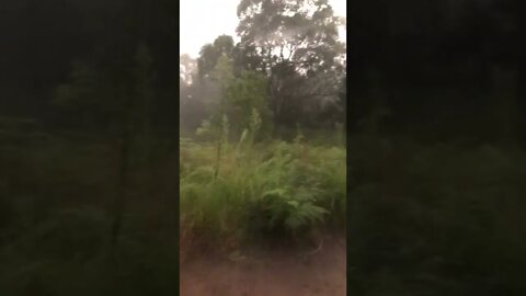 Hail storm has turned to rainstorm - Australian summer