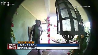 Videos capture serial porch pirate