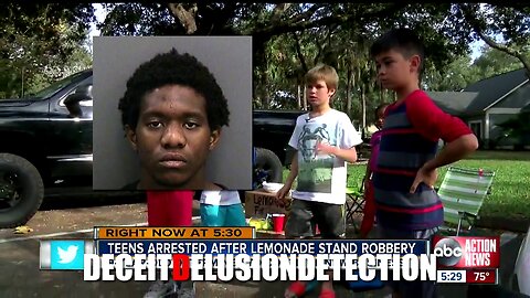 9-year-old white child robbed at lemonade stand by black suspect