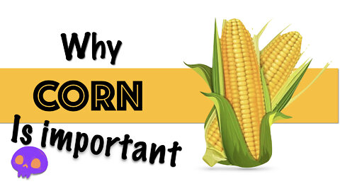Why Corn is Important