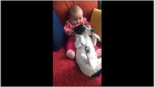 Adorable Baby Loves Tugging On Cute Doggy's Ears