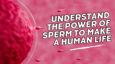 Sperm: The Tiny Tadpoles of Life