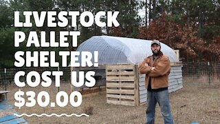 Hold your Horses | This Livestock shelter only cost us $30.00
