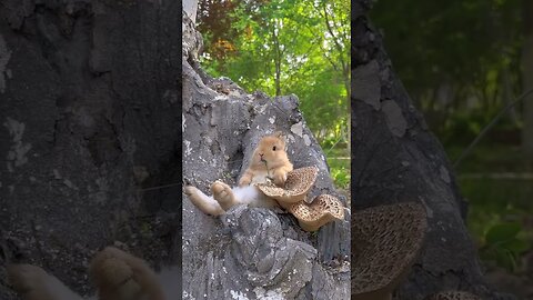 A cute little bunny sleeping on a mushroom