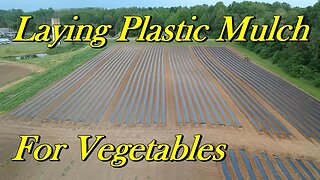 Long Days on the Farm | Disking, Laying Plastic, and Farmers’ Markets – Vlog 15