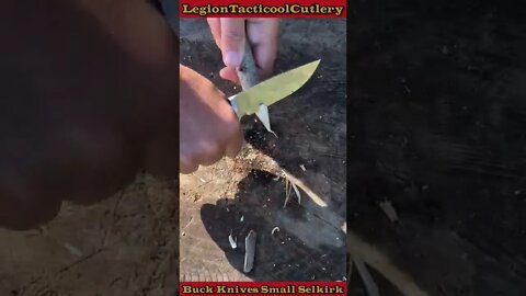 Buck Knives Small Selkirk!