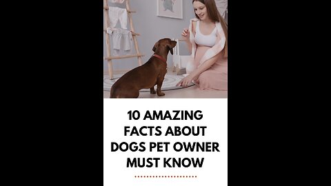 10 Amazing facts about dog.. "A must know by Per owners"