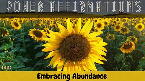 Embracing Abundance - Power Affirmations