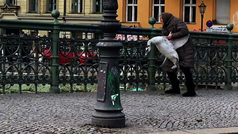 Fearless woman wrangles stranded swan and lobs it off bridge into Berlin canal