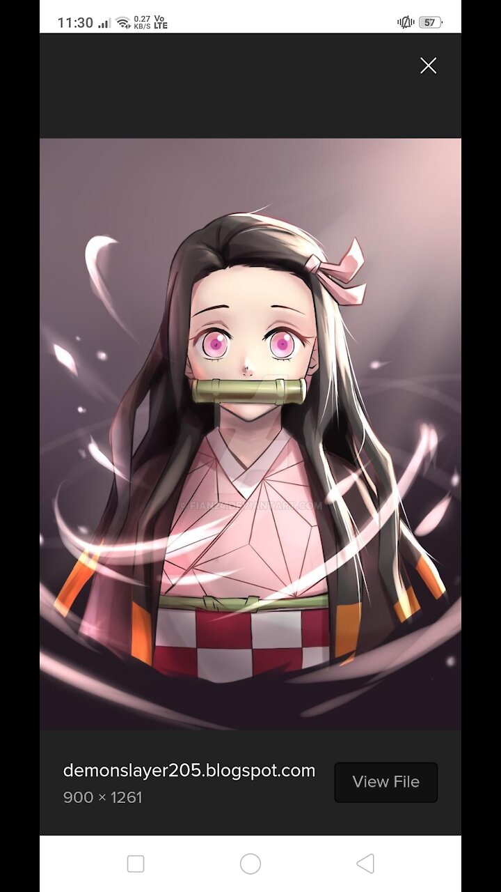 NEZUKO KAMADO