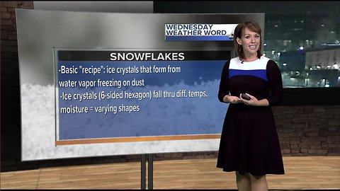 Rachel's Wednesday Weather Word: Snowflakes
